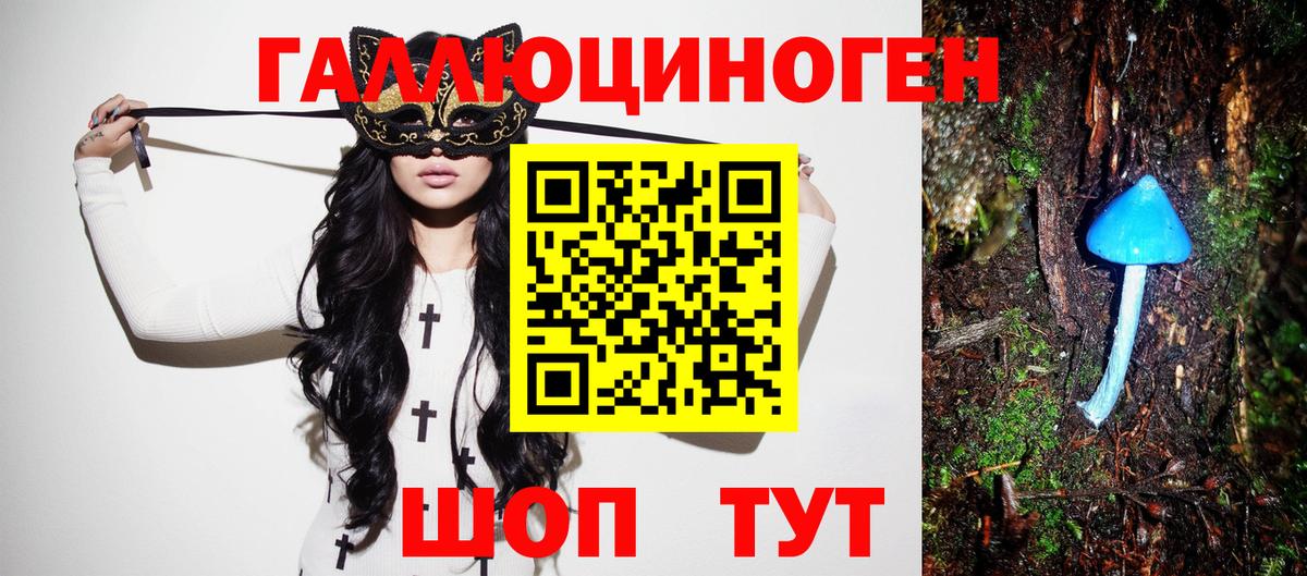 Королёв  Галлюциногенные грибы мицелий  Вход с VPN 
